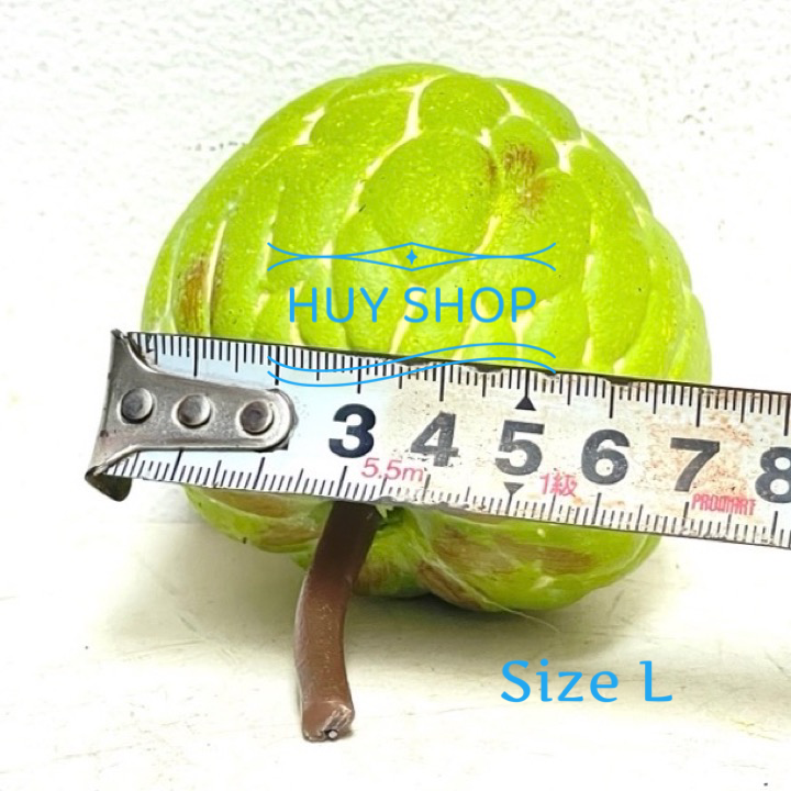 Cành Trái Mãng Cầu Ta  nhân tạo trang trí nhà cửa