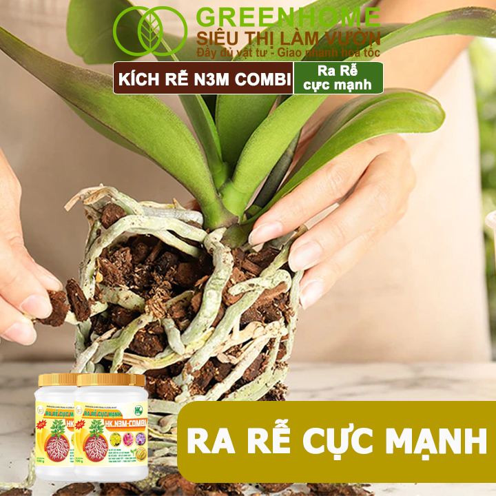 Phân Bón Lá Greenhome, N3M Combi, Hũ 100gr, Ra Rễ Cực Mạnh Dùng Giâm, Chiết Cành, Ngâm Hạt, Kiểng