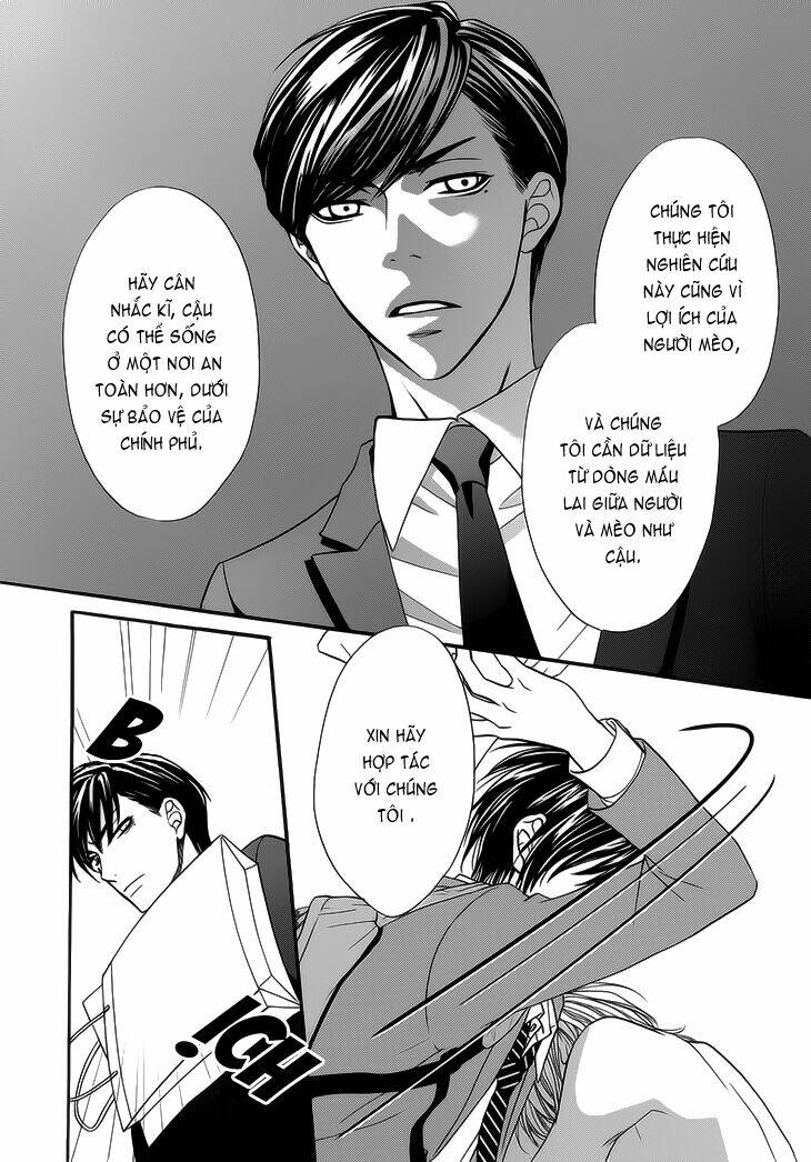 nekoka danshi no shitsukekata chapter 7 38