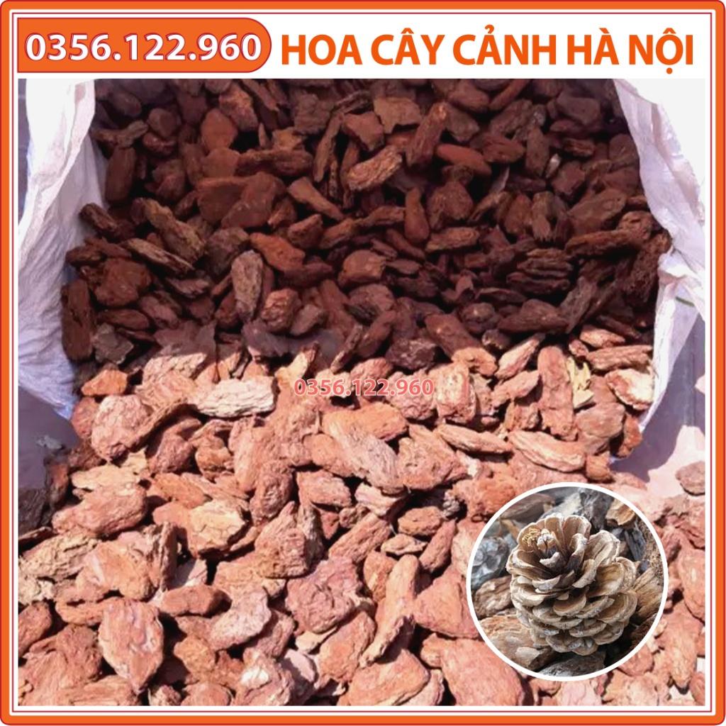 Vỏ thông mài cạnh size 2x3cm rải chậu cây cảnh để bàn, rải bề mặt - Gói 1 kg - Shop hoa cây cảnh Hà