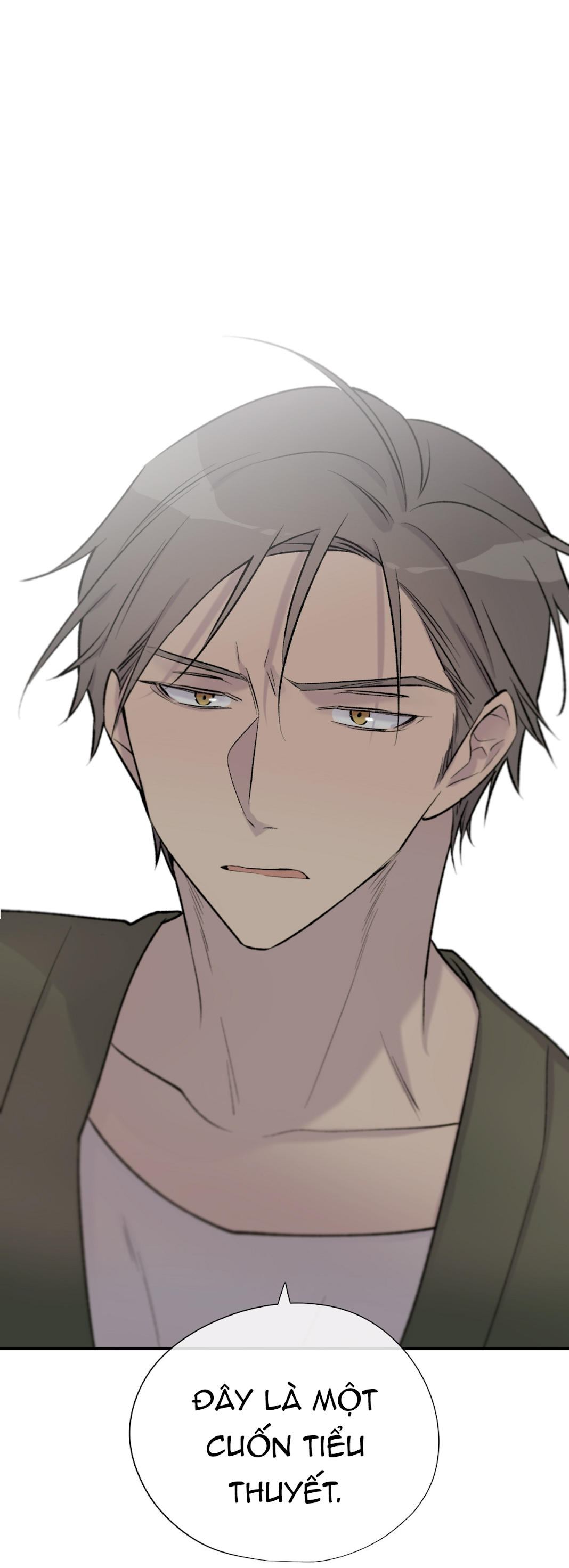 đừng viết nữa, tác giả thân mến! chapter 24 67