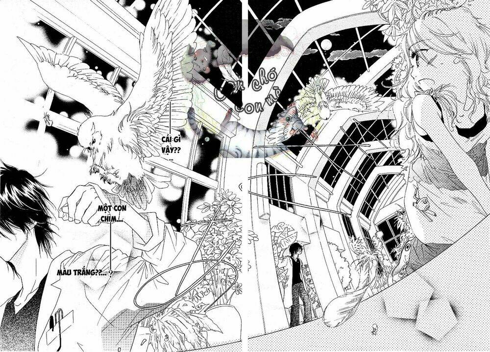 sai x ai chapter 1 9