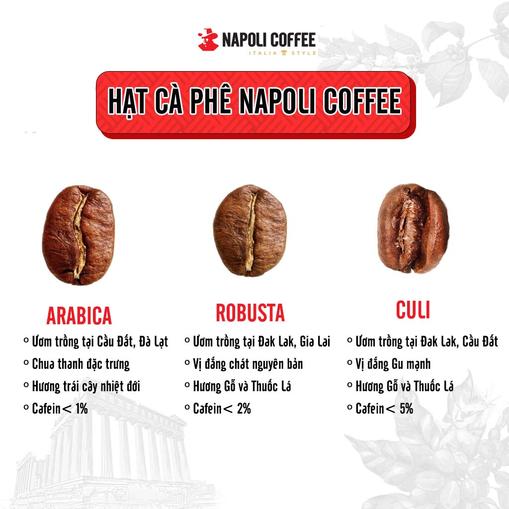 COMBO Cà phê Espresso (Túi 250g) và Cà phê Arabica / Robusta (Túi 500g) - Napoli Coffee ( Cafe hạt sạch)