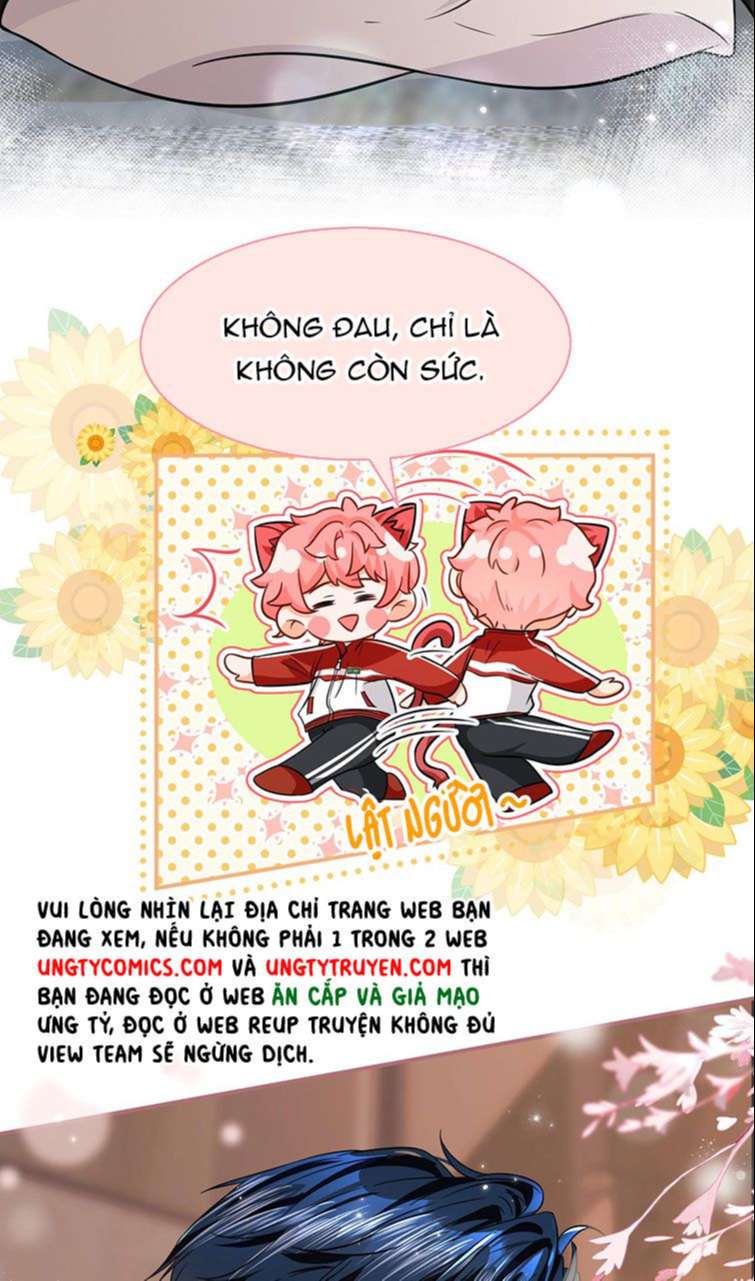 tín tức tố nói chúng ta không thể chapter 56 47