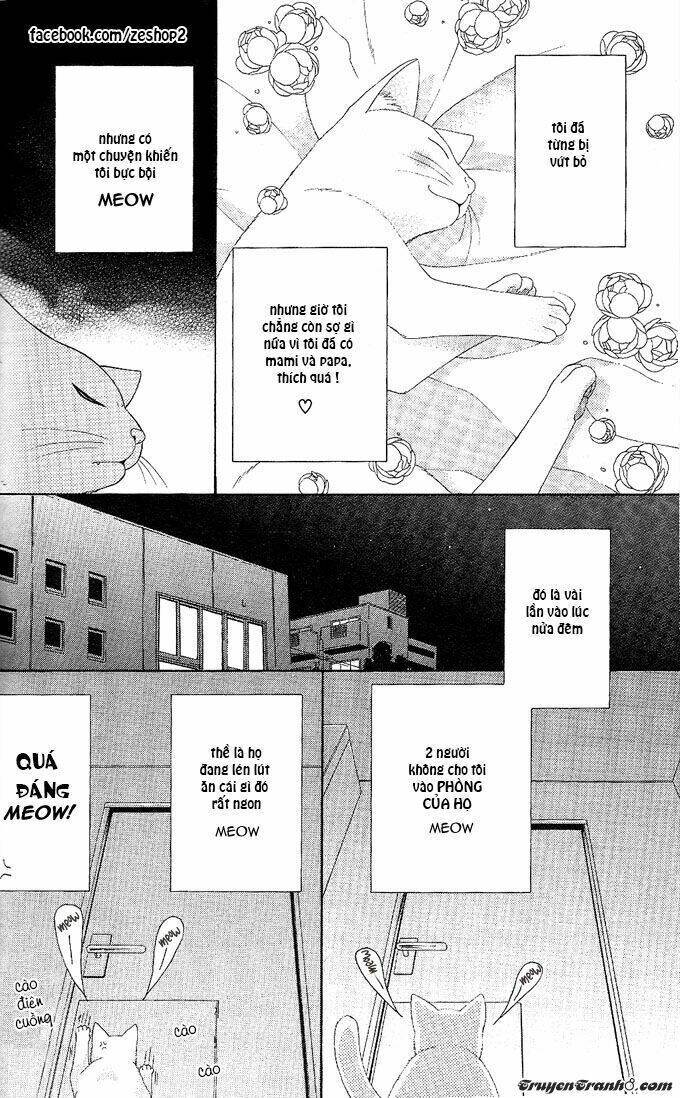 người nuôi mèo và bác sĩ thú y chapter 9 7