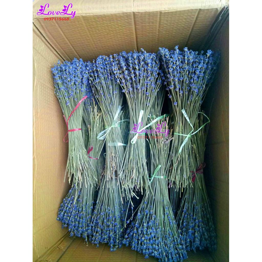 Bó hoa oải hương Lavender khô nhập Pháp 200 cành Tặng Túi Thơm Nụ Hoa Lavender