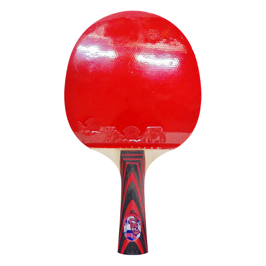 Vợt Bóng Bàn 729 - 2060