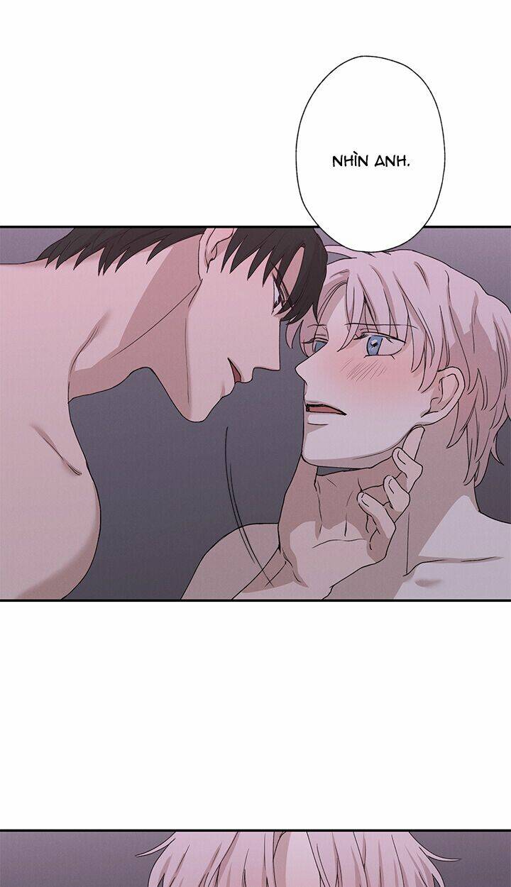 trốn tìm chapter 22 39