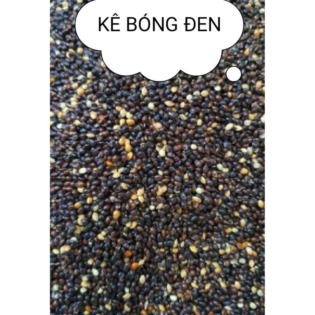 1KG KÊ BÓNG ĐEN CHO VẸT,YẾN PHỤNG,CU GÁY,BỒ CÂU,MANH MANH
