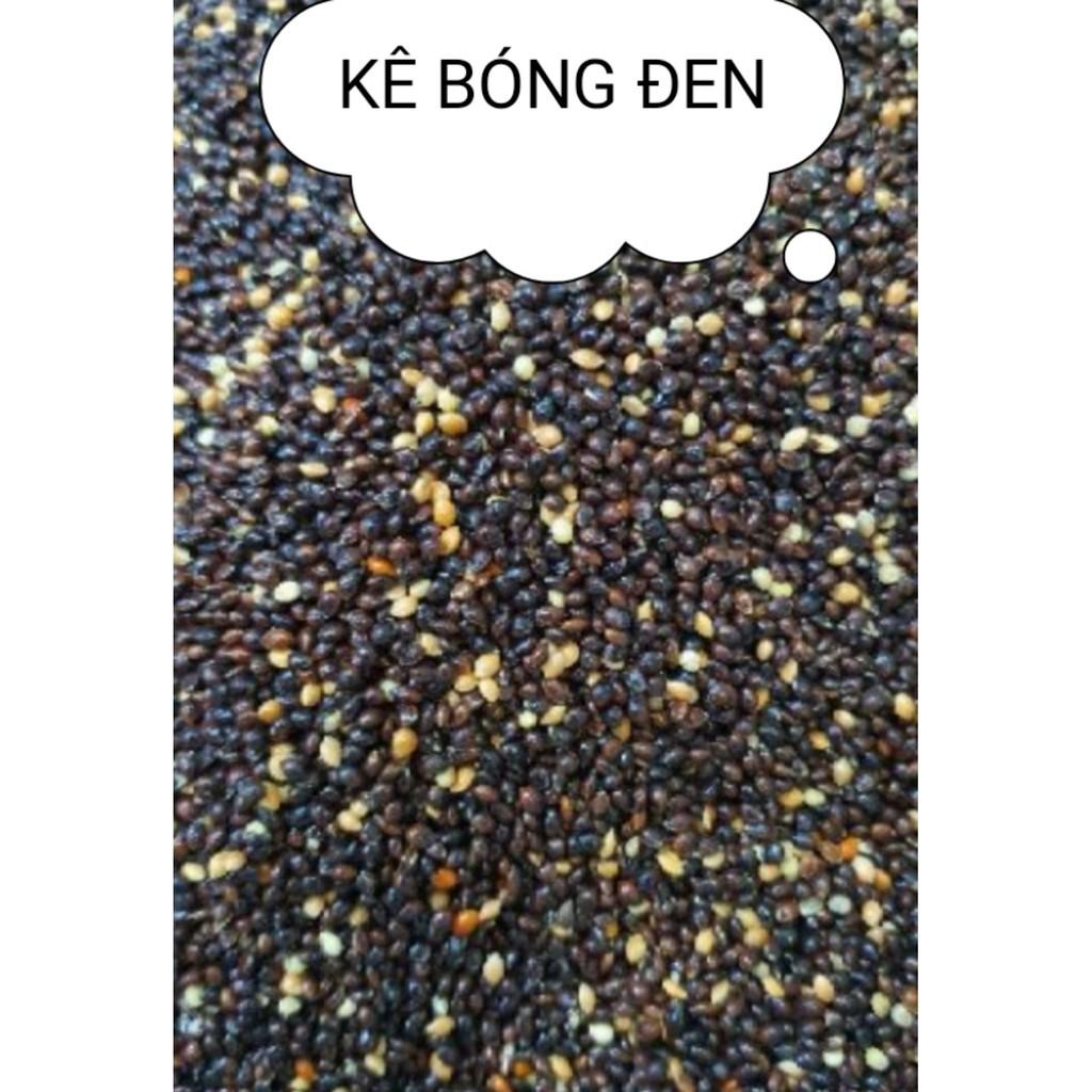 500G KÊ BÓNG ĐEN CHO VẸT,YẾN PHỤNG,CU GÁY,BỒ CÂU,MANH MANH