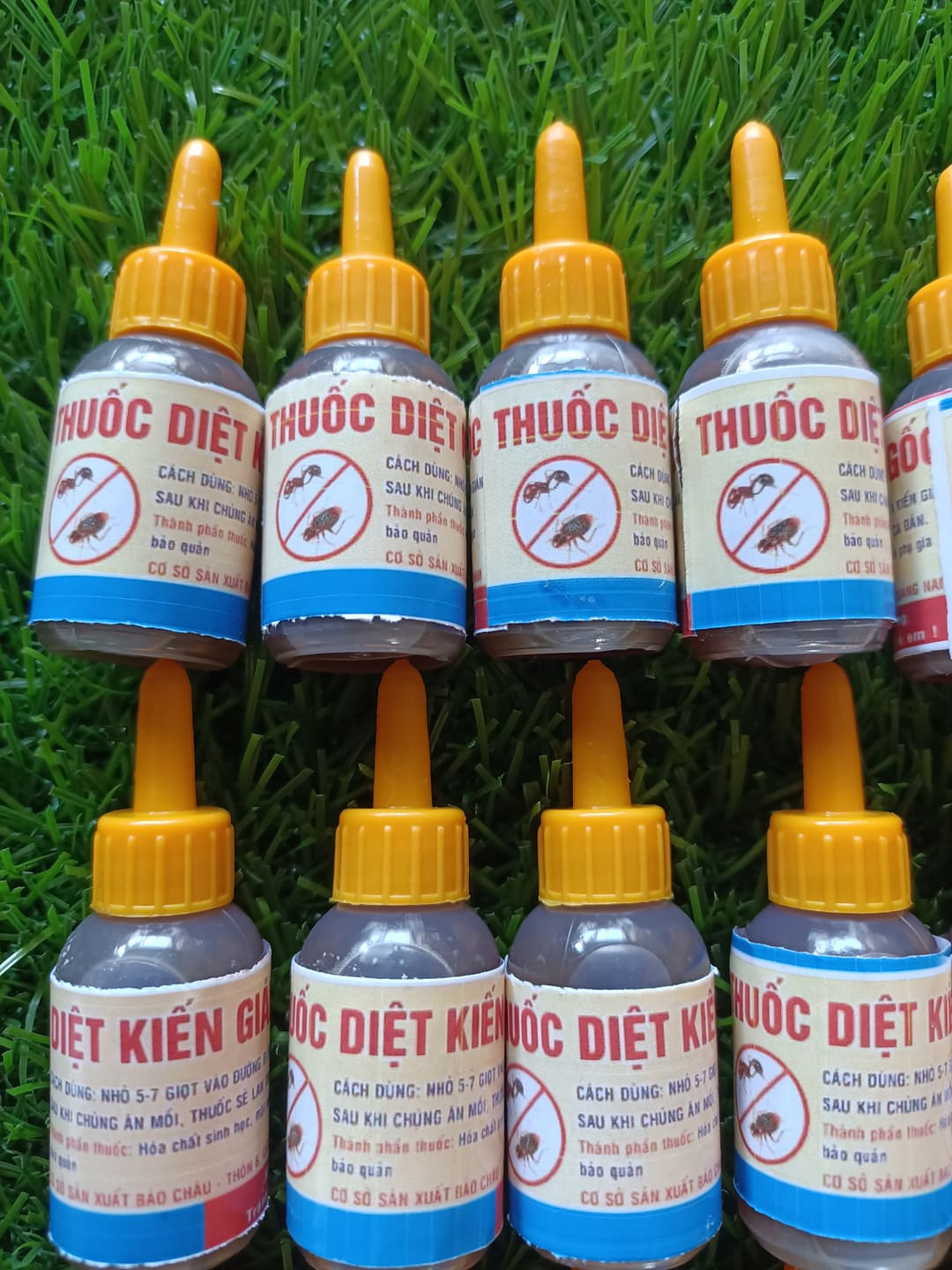 100 lọ thuốc diệt kiến gián sinh học