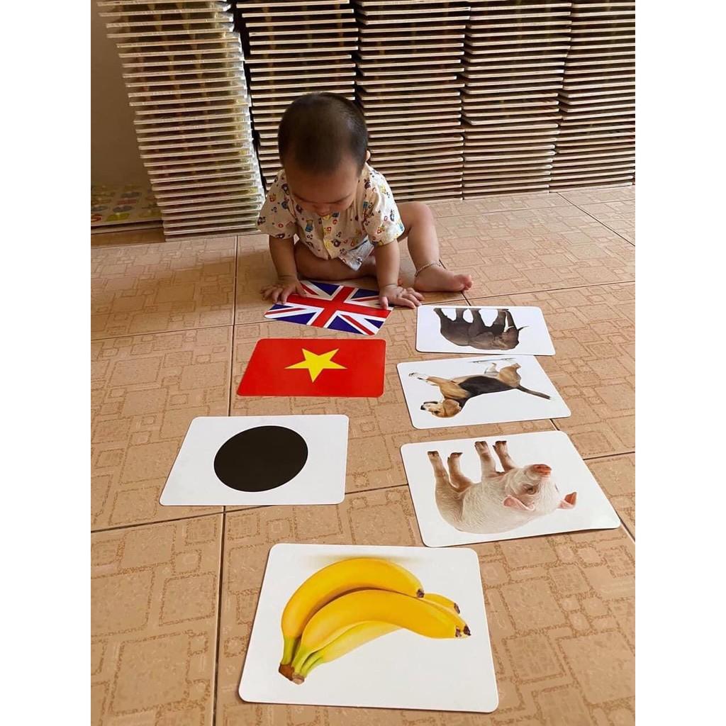 Bộ thẻ học thông minh cho bé loai TO | Bộ thẻ Glenn doman | Thẻ flashcards | Bộ thẻ dạy trẻ biết đọc sớm với 15 chủ đề