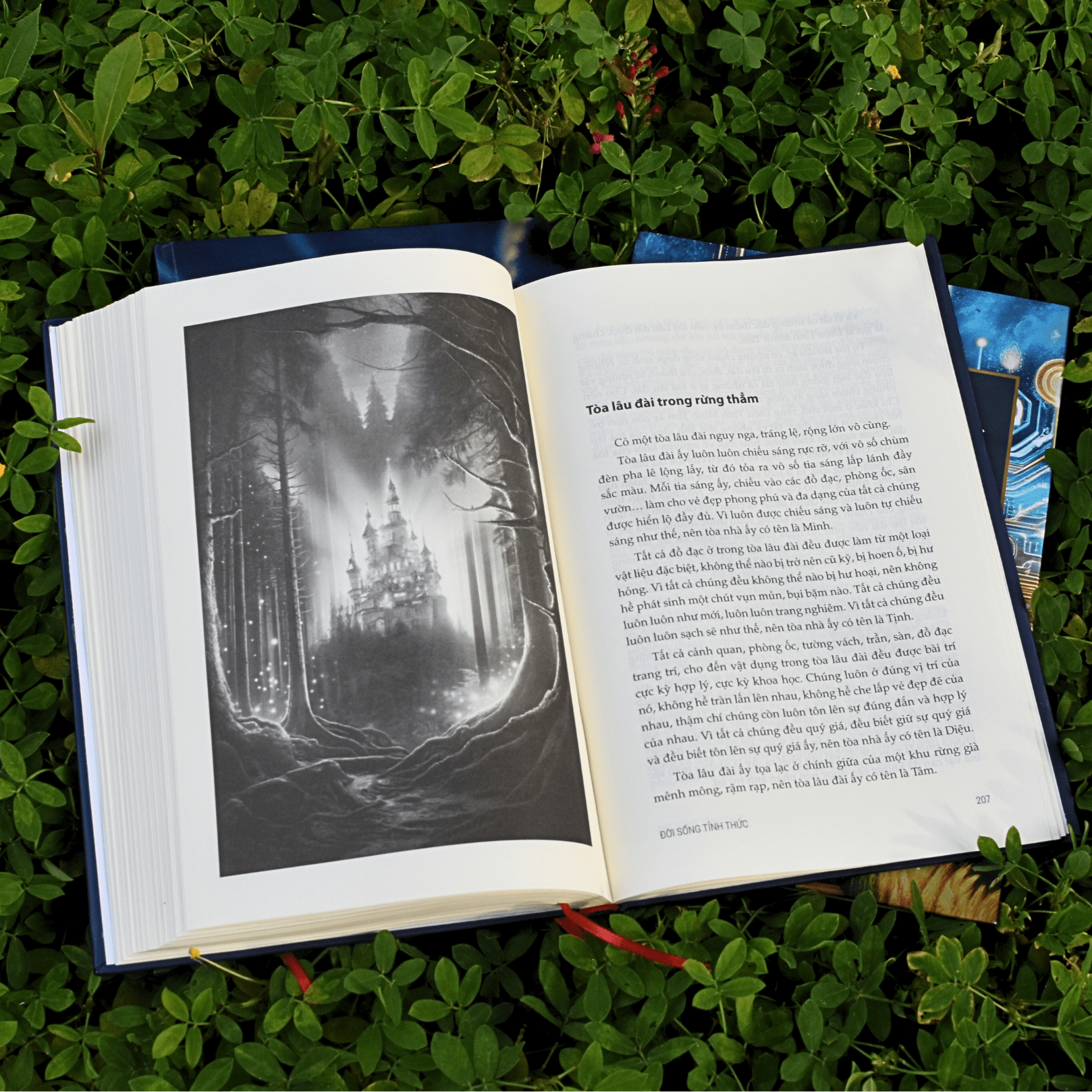 (Combo 2 cuốn sách bìa cứng ) - BẢN CHẤT CON NGƯỜI + PHẬT ĐẠO MỘT KHOA HỌC VÀ HƠN THẾ - Tác giả: Trần Thế Công