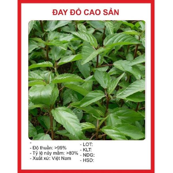 Hạt Giống Rau Đay Đỏ - gói 10gram