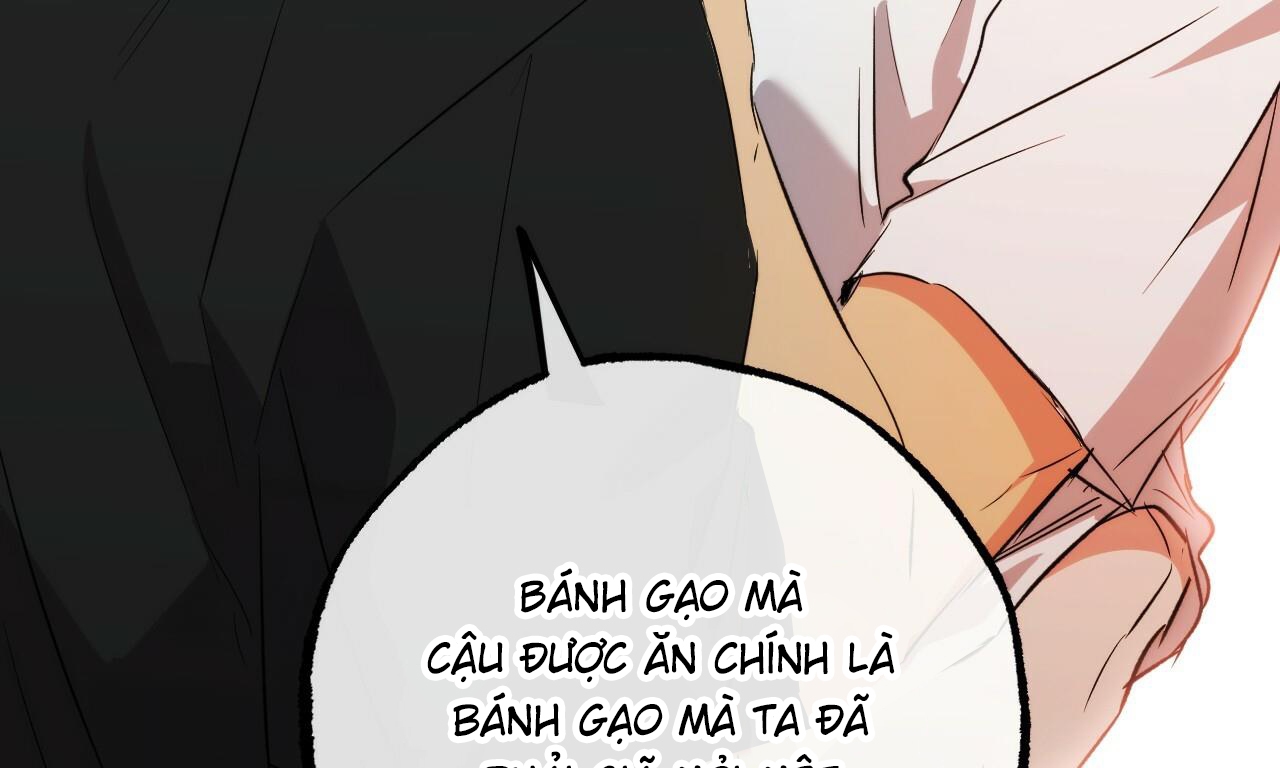những chú thỏ của hapypy chapter 53 263