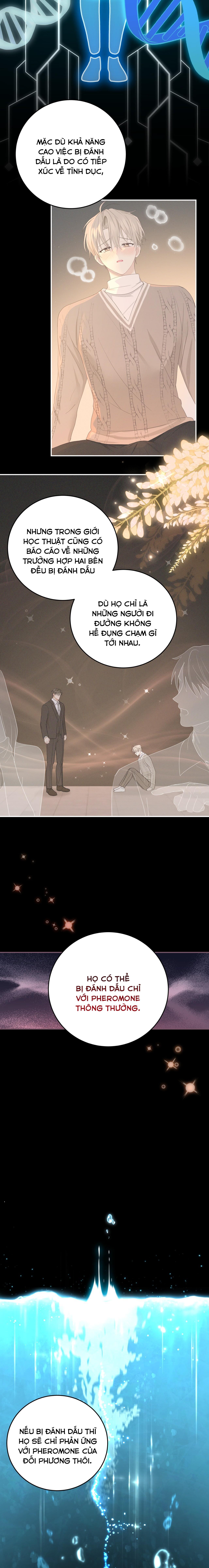 vị ngọt không đường (sweet not sugar) chapter 21 9