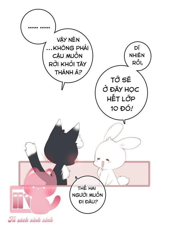 con tim rung động 2 chapter 142.1 7