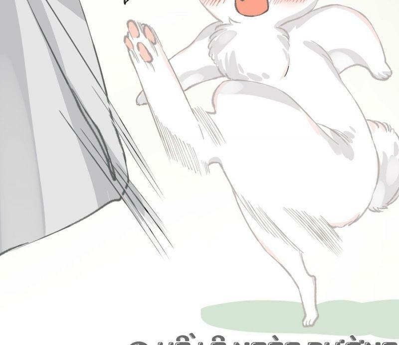 phế vật công chúa muốn nhặt chồng chapter 27 38