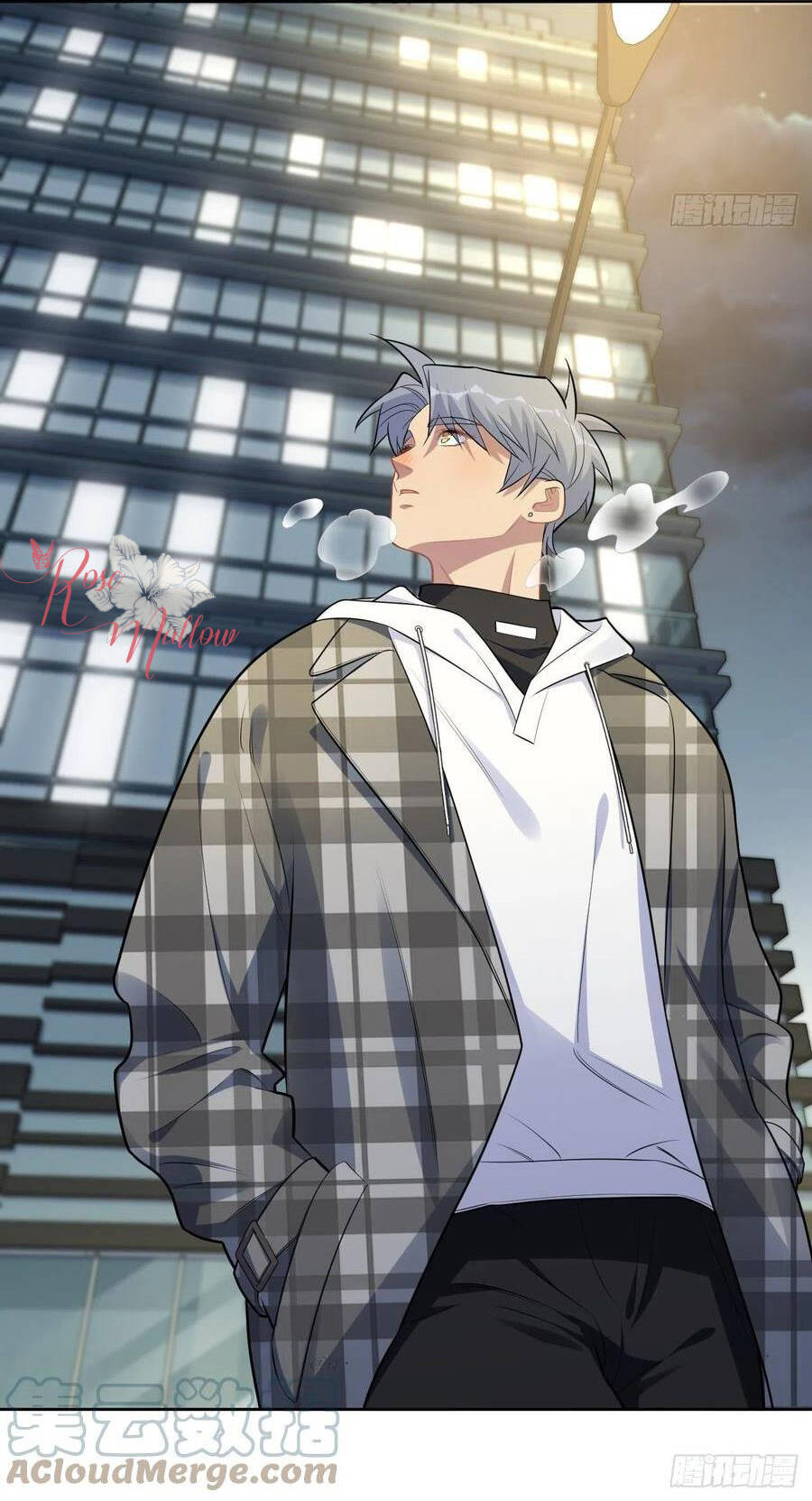 nhạc phụ đại nhân là lão bà chapter 174 14