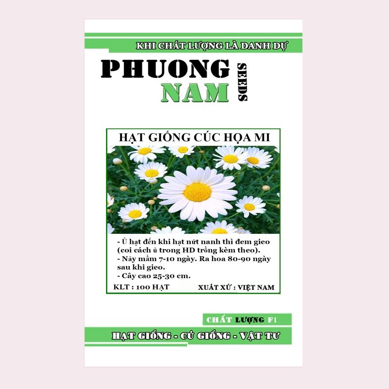 100H - HẠT GIỐNG CÚC HỌA MI