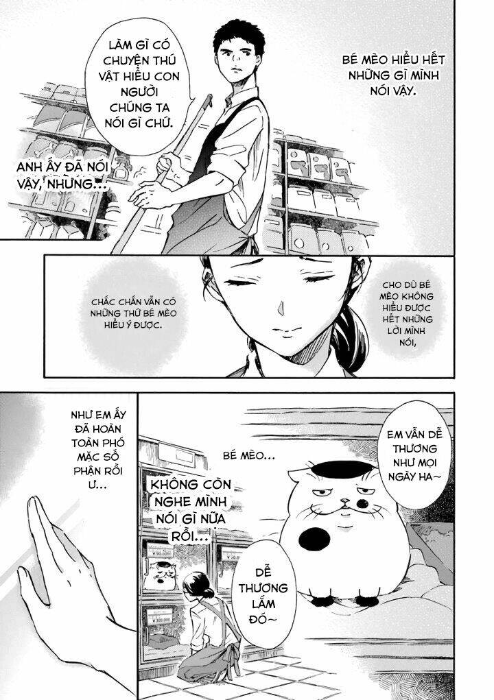 ông chú và con mèo mặt bựa chapter 15.6 5