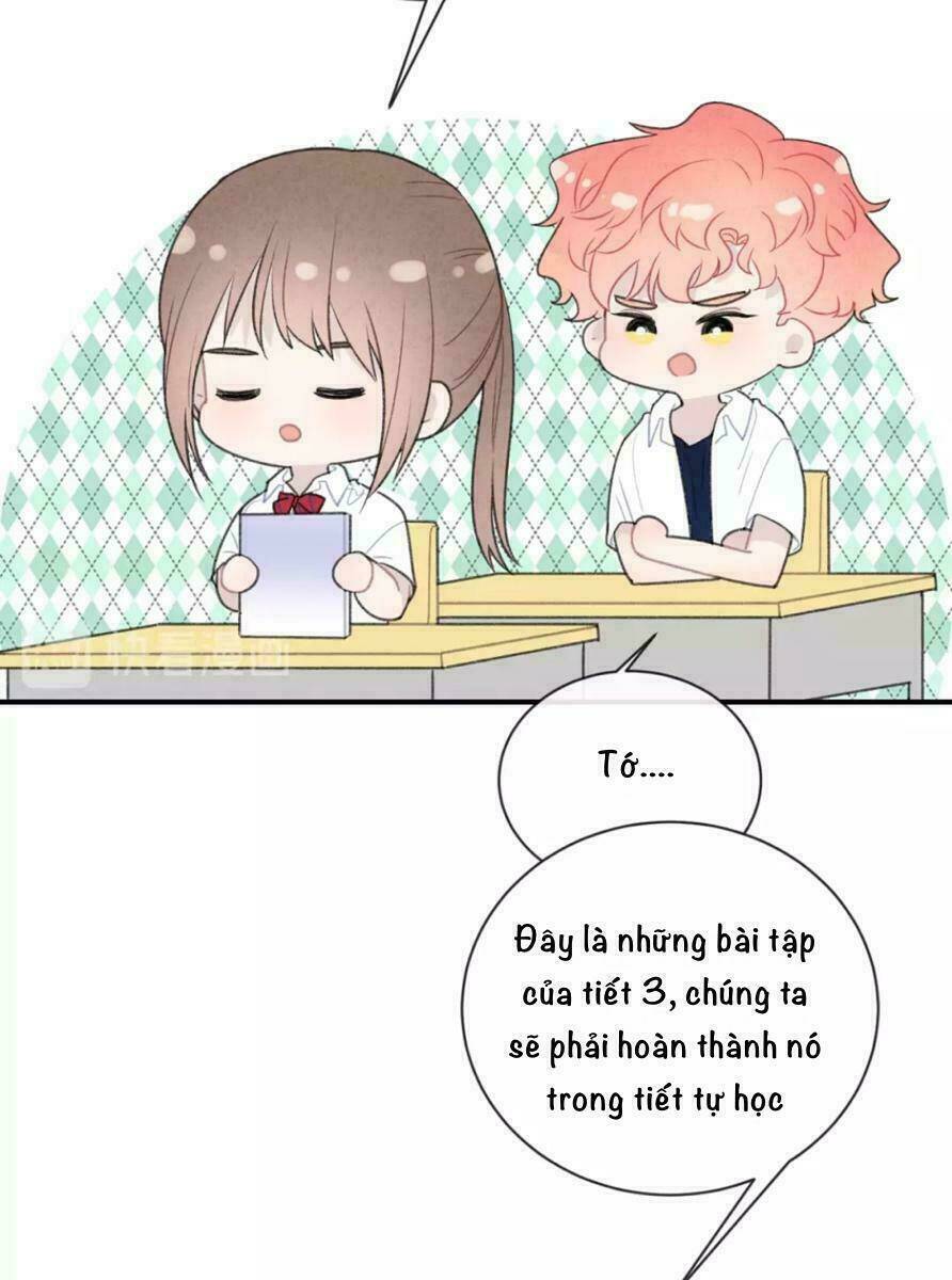 từ cái nhìn của em chapter 27 15