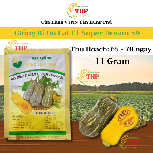 Hạt giống Bí Đỏ Lai F1 Super Dream 59 | Hạt Giống | gói 11gr