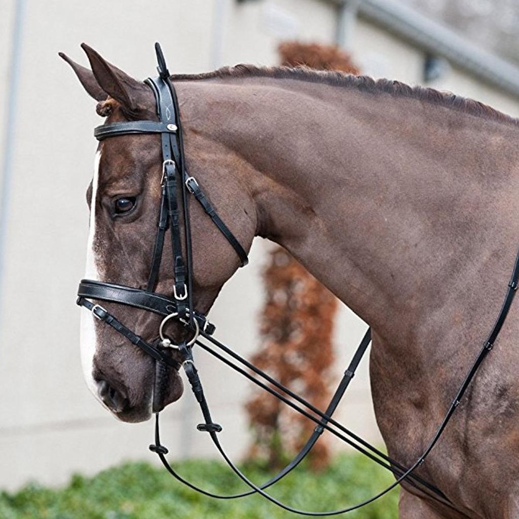 Horse Neck Stretcher Adjustable w/ Plastic Buckles Equestrian Supplies 10ft