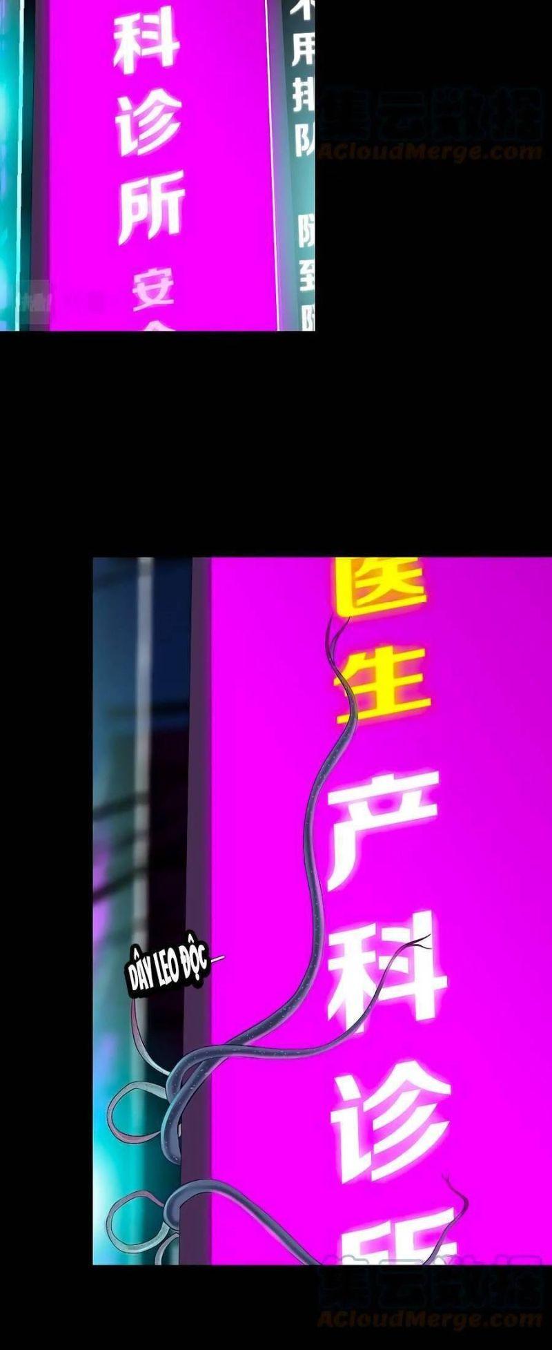 đằng nữ chapter 166 16