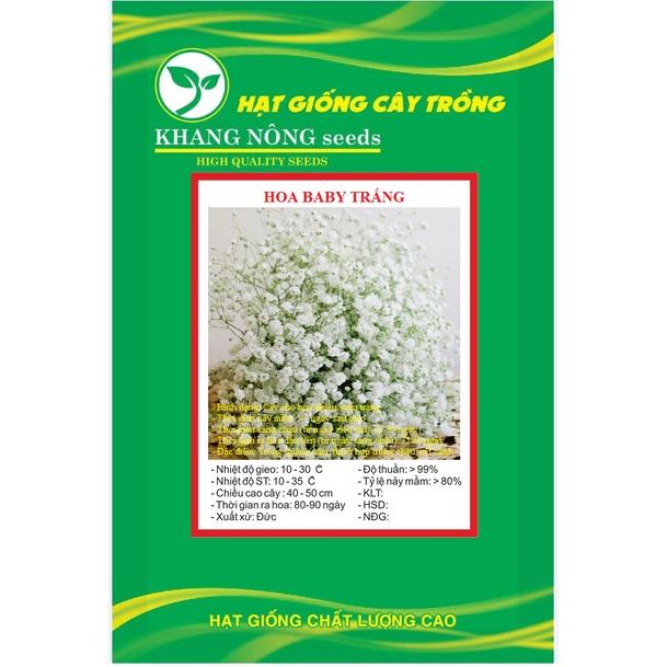 Hạt Giống Hoa Baby Hoa Trắng KNS3636 - Gói 50 hạt