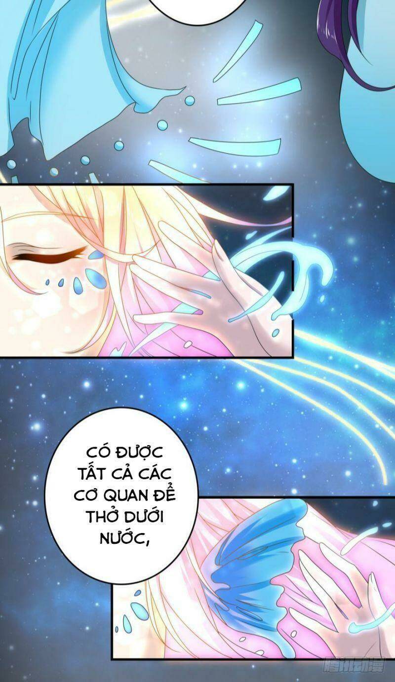 nhân ngư học trưởng, đừng ôm ta! chapter 51 13