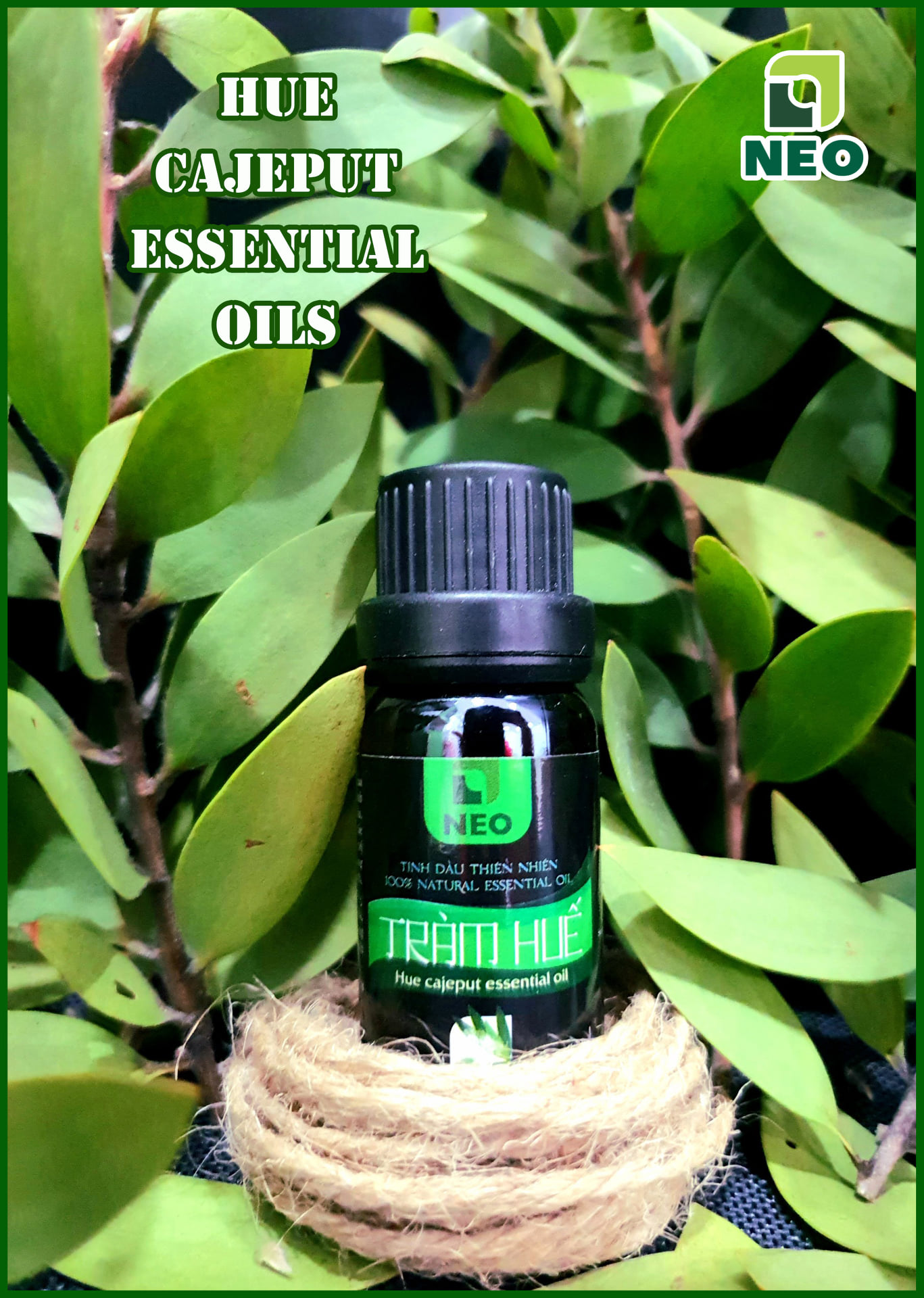 Tinh Dầu Thiên Nhiên Tràm Huế NEO 10ml