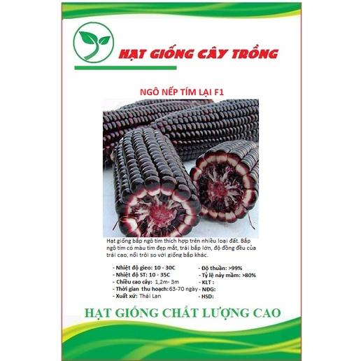 Hạt giống ngô nếp tím lai F1 CT216 - Gói 30 hạt