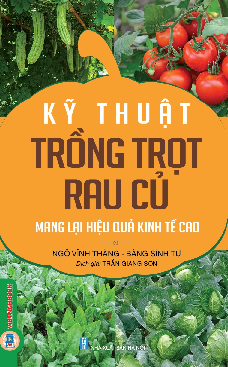 Kỹ Thuật Trồng Trọt Rau Củ Mang Lại Hiệu Quả Kinh Tế Cao