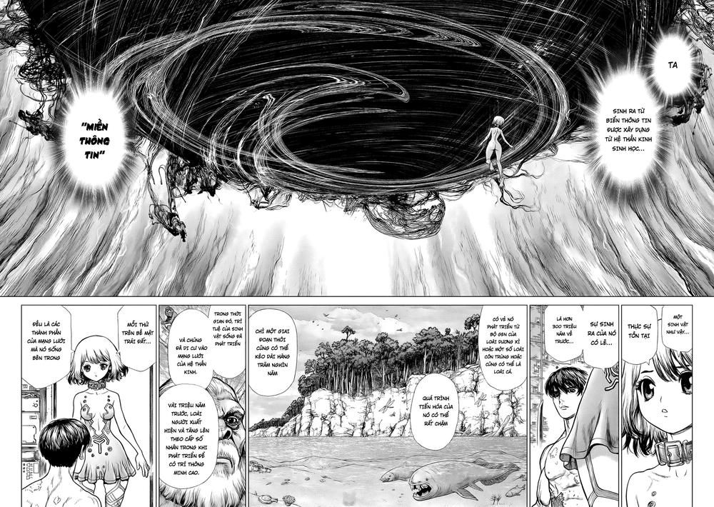 origin chapter 51 12