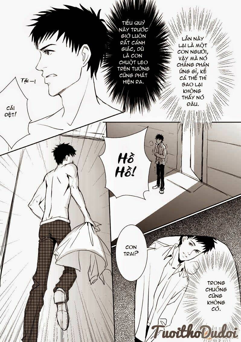 sự mê hoặc của sói chapter 10 5