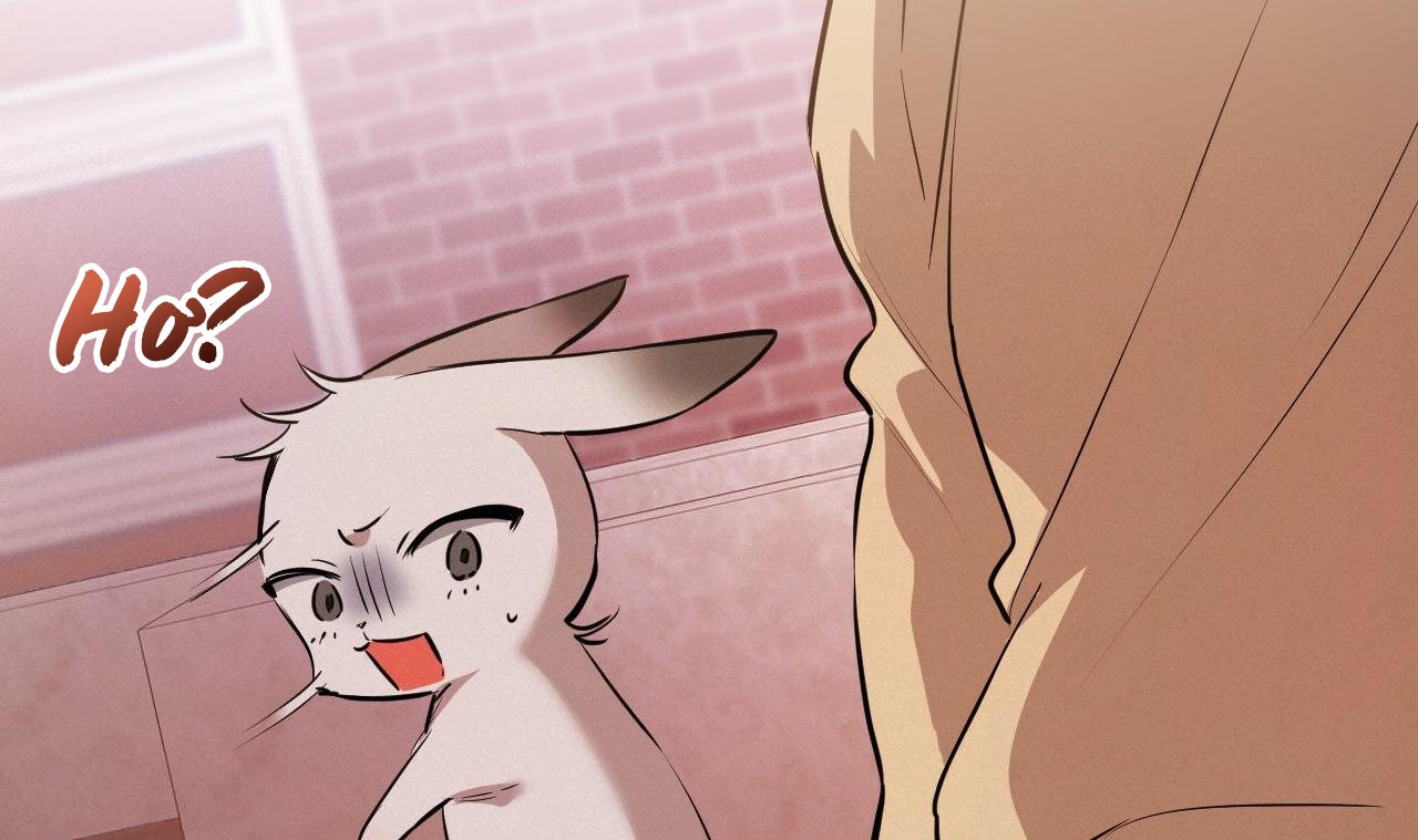 đàn thỏ của habibi chapter 37 167