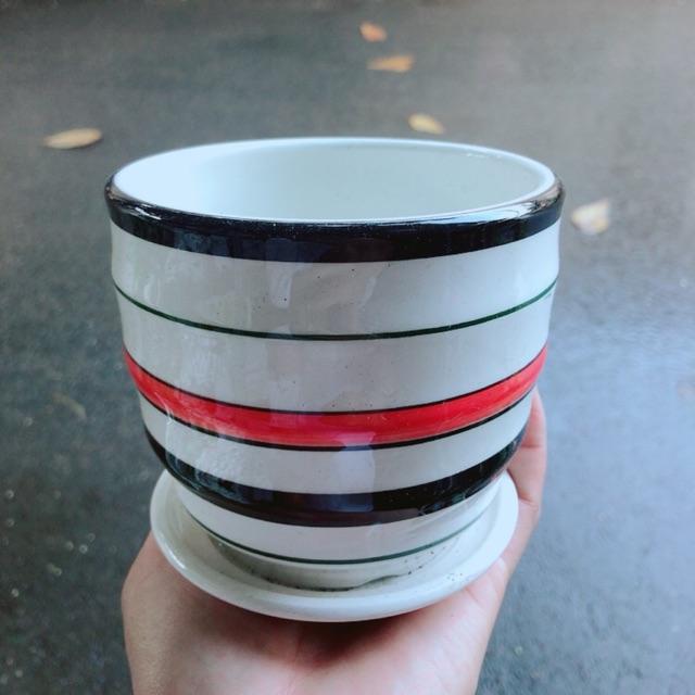 Chậu Trồng Cây