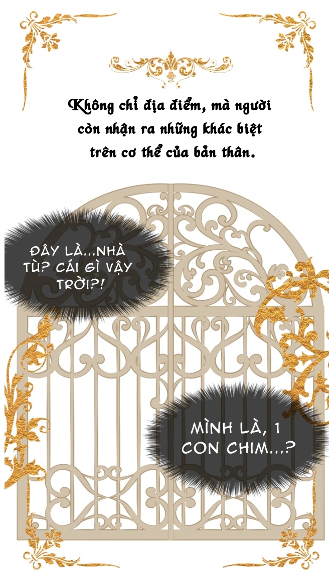 những mẩu truyện dịch nhỏ chapter 13 3