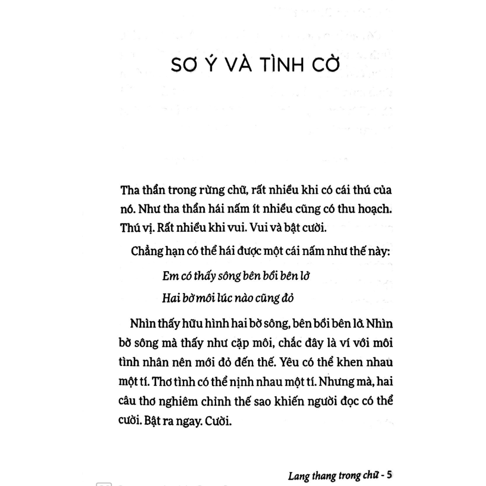 Sách Lang Thang Trong Chữ ( Tái Bản )