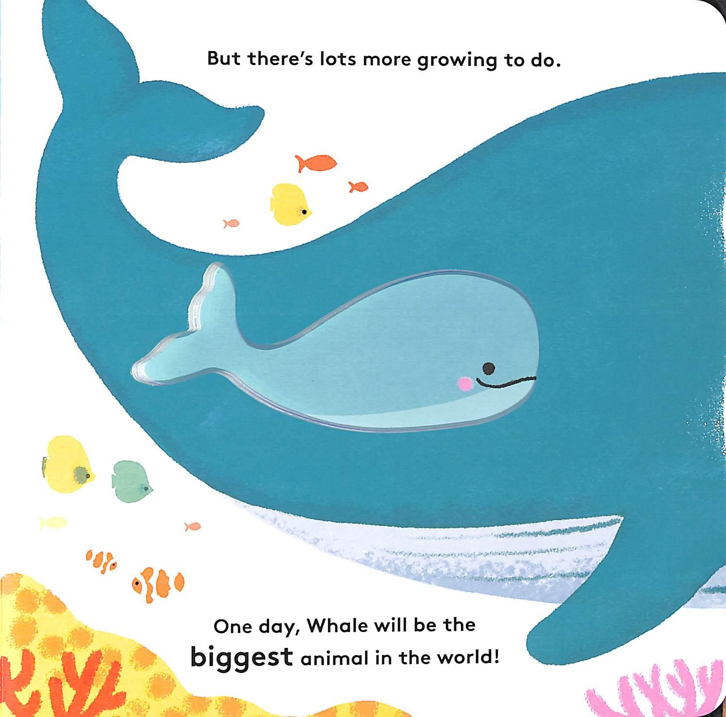 Sách ngoại văn: Little Life Cycles - Whale