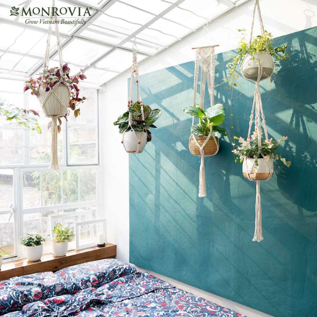 Combo 4 dây treo chậu cây Macrame MONROVIA, trang trí trong nhà, sân vườn, đan thủ công tỉ mỉ, Tiêu chuẩn Châu Âu