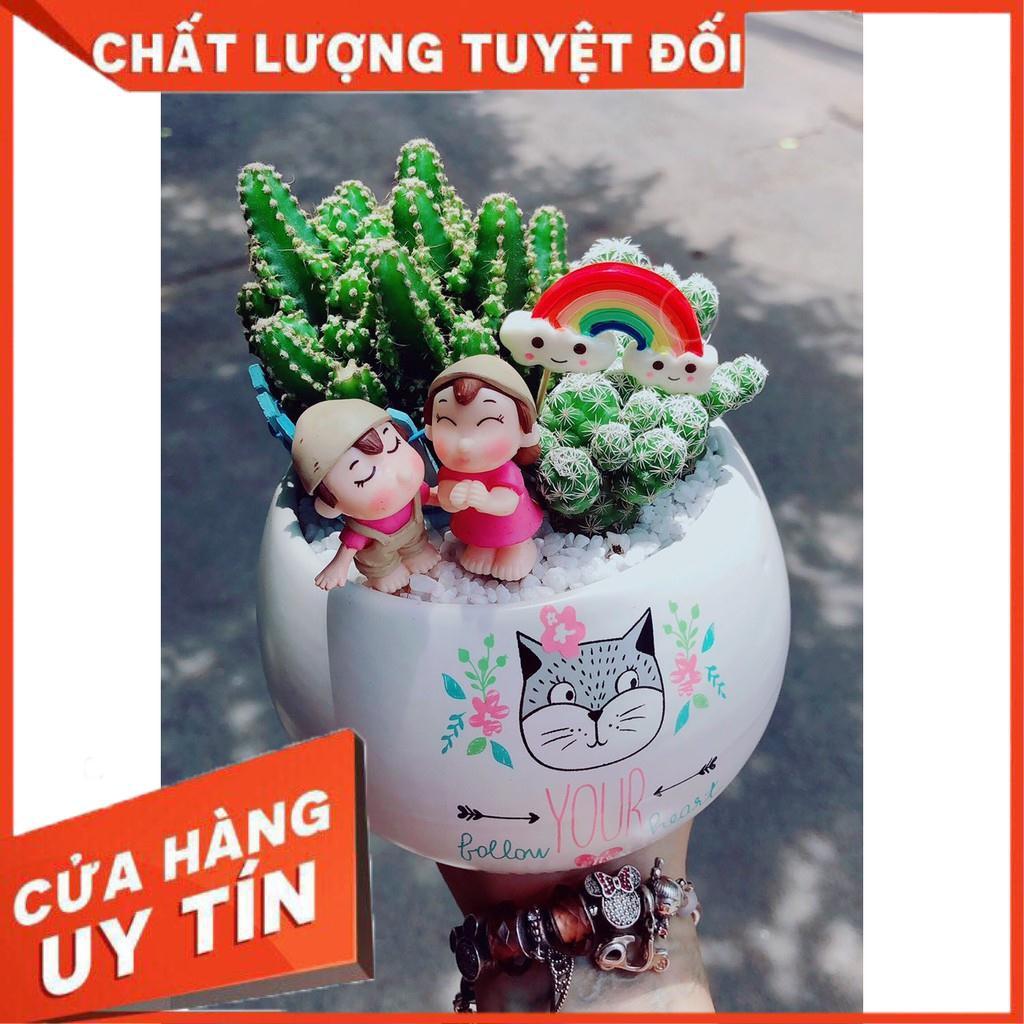 Các mẫu sen đá tiểu cảnh đồng giá 200k Nhiều Người Mua