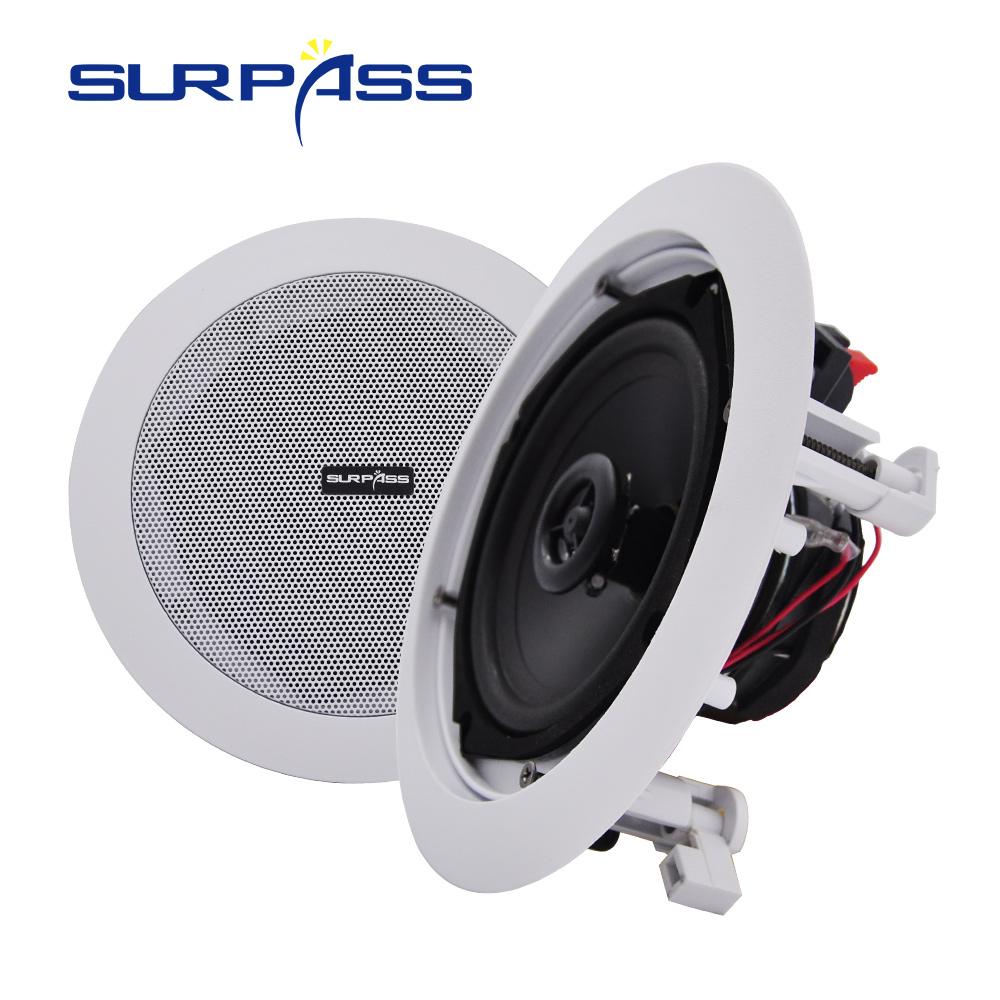 Aiyima 2 Mini Loa Tweeter Trình Điều Khiển 6Ohm 20W Màng Lụa Loa Neodymium Loa Treble Cho Ngôi Nhà Mô âm Thanh Xe Hơi