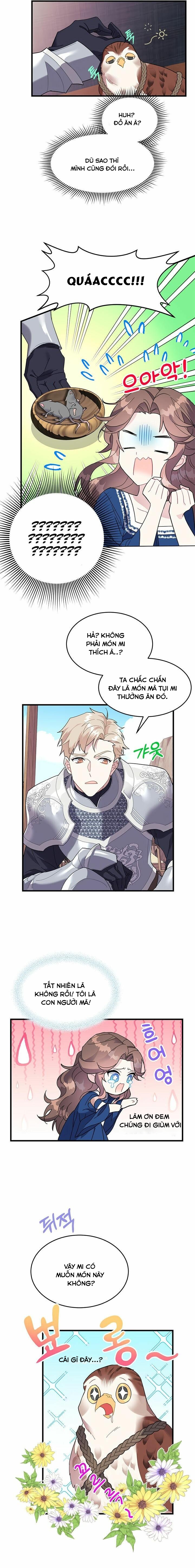 công chúa chim ưng cavier chapter 4 11