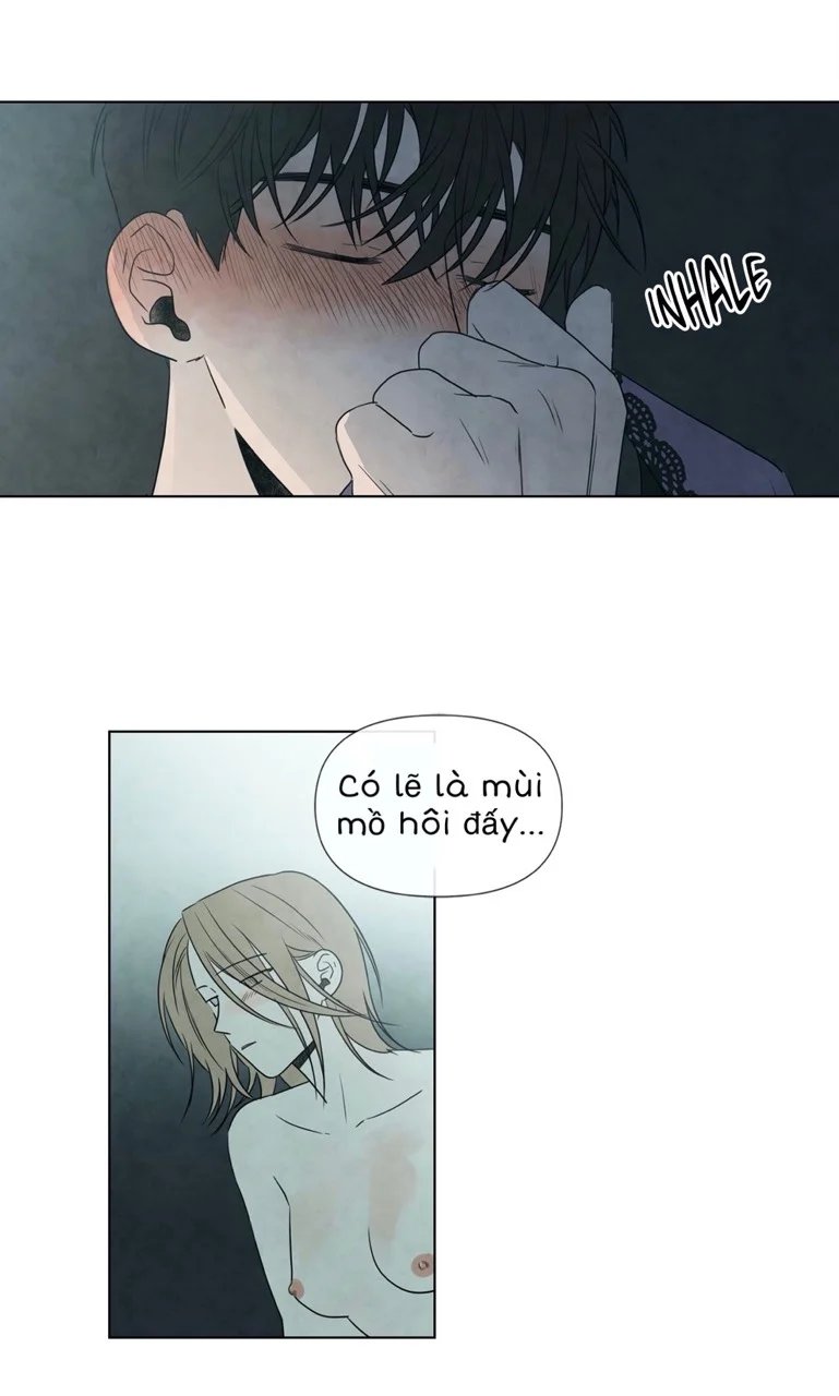 summer solstice point chapter 6 19