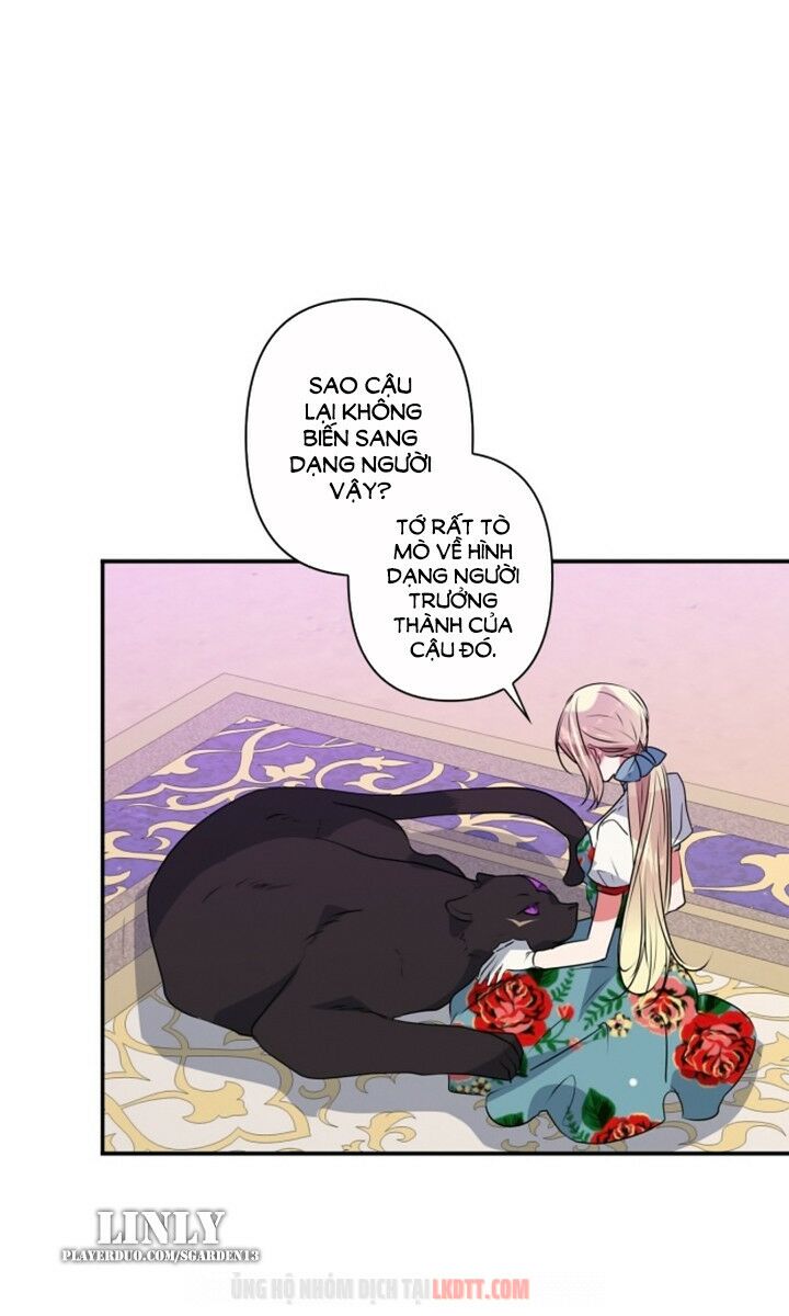 tôi đang nuôi dưỡng một con quái thú chapter 29 10