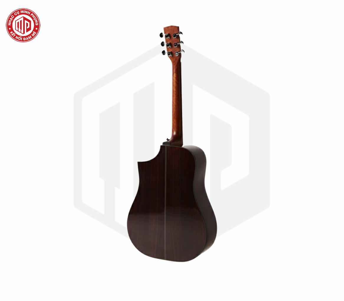 Đàn Guitar Acoustic Hex D350CE - Hàng chính hãng