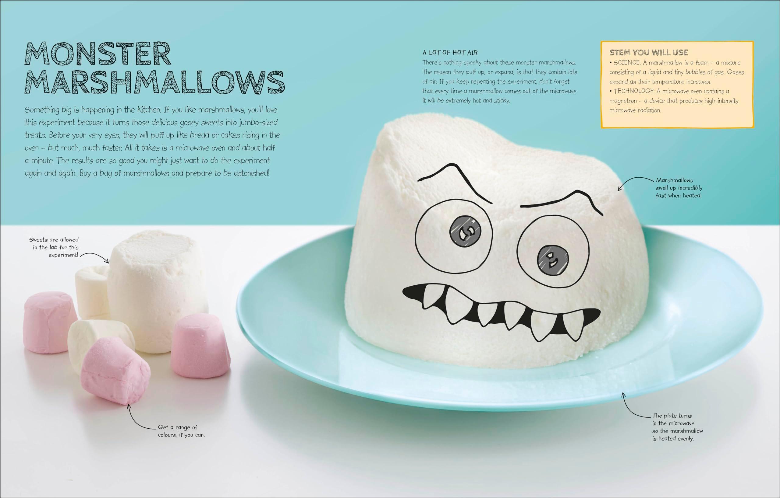 Sách ngoại văn: Home Activity Lab - Exciting Experiments For Budding Scientists