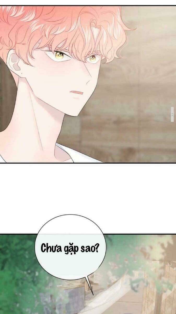 từ cái nhìn của em chapter 33 17